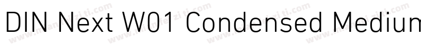 DIN Next W01 Condensed Medium字体转换